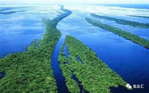 亚马逊河有多宽多深