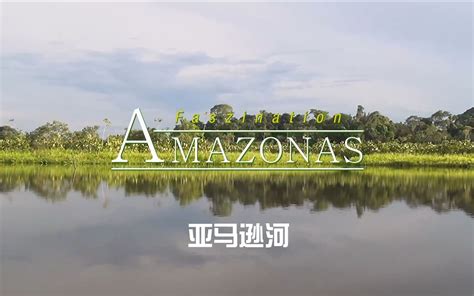 亚马逊河纪录片1-5集