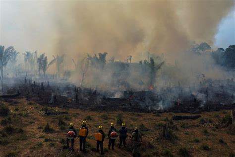 亚马逊雨林火灾具体数据