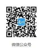 亳州seo页面咨询电话