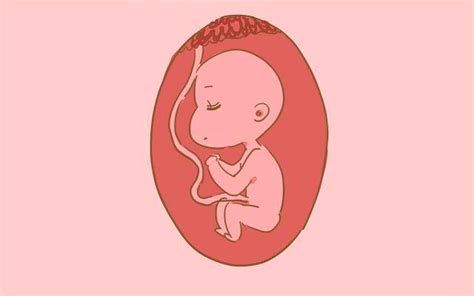 人工怀孕几率这么低为什么