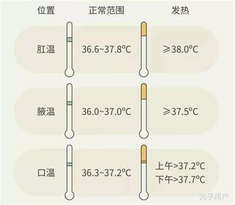 人的正常体温一般多少度正常