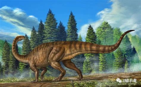 人类发现的第一个恐龙