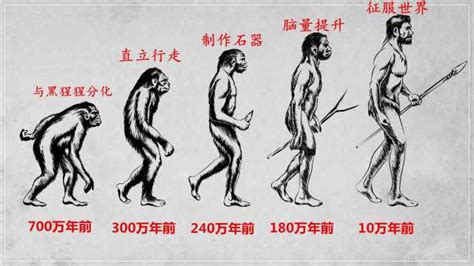 人类进化经历了多少年