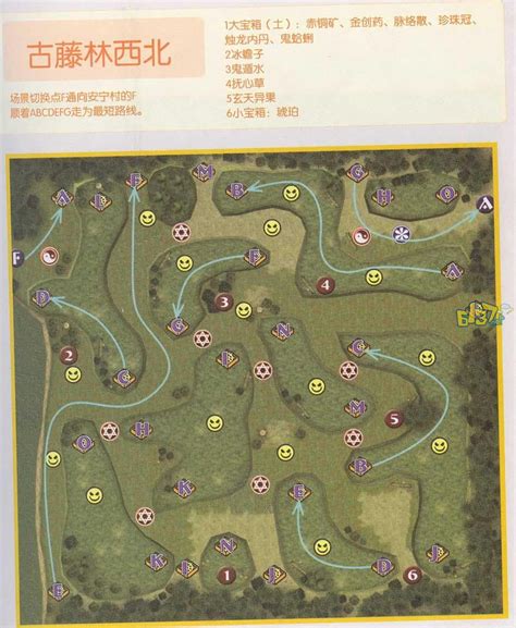 仙剑奇侠传3古藤林地图