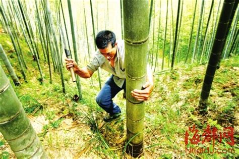 伐竹取道的道是什么