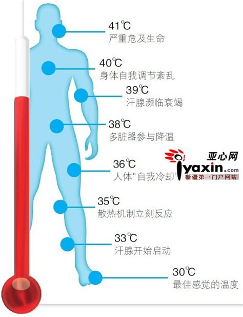 体温标准对照表