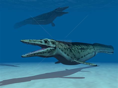 侏罗纪水下恐龙叫什么