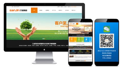 新干县网站推广公司图片