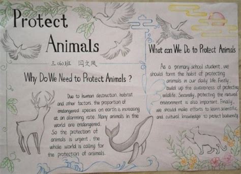 保护动物的英文作文60个单词