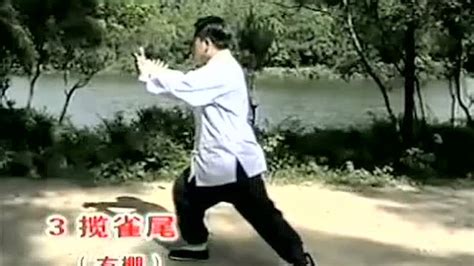 傅清泉85式太极拳视频