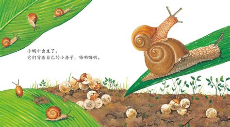 儿童故事大全小蜗牛