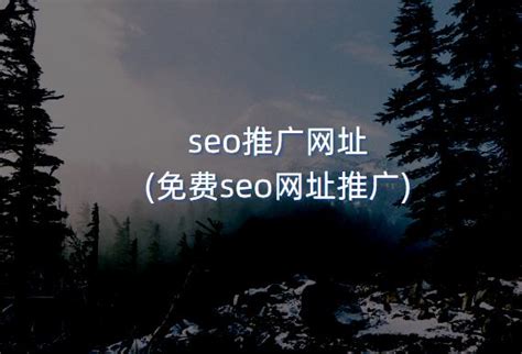 免费的seo网址排名
