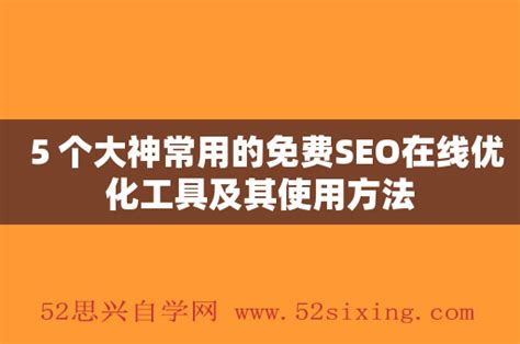 大型商务网站seo优化图片