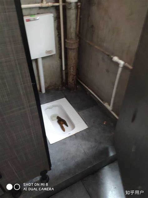 公共厕所的粪便最后怎么处理