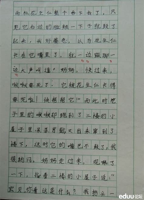 关于汉字的作文300字