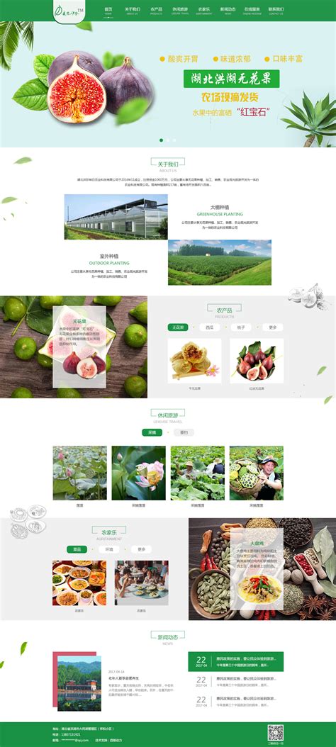 兴庆区农产品网站搭建