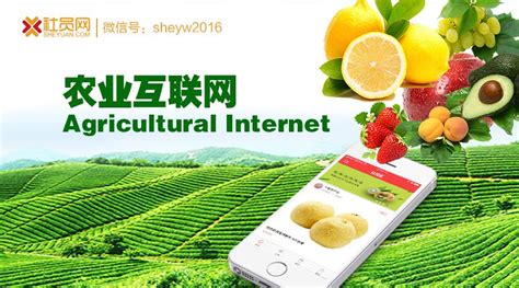 农业公司互联网推广平台