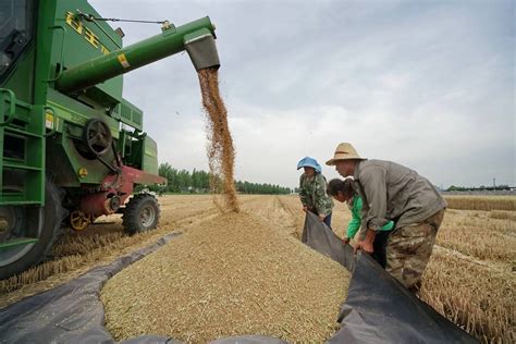 农业农村部促进种粮农民增收