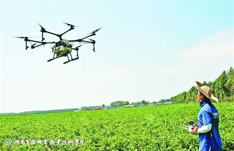 农业推广技术的应用