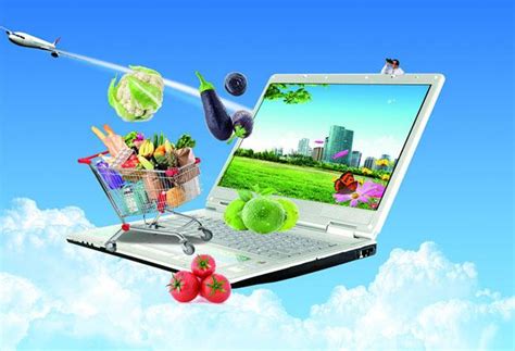 农产品电子商务平台的发展