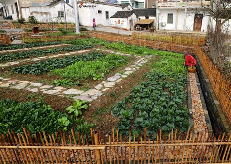农民可以建设温室种菜吗