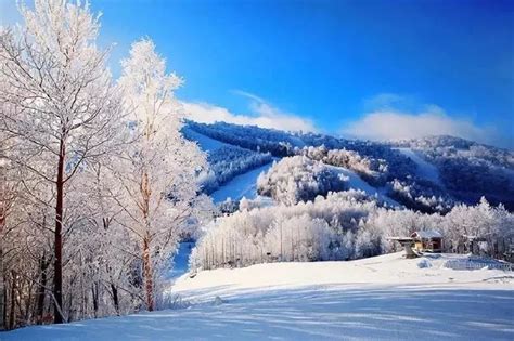 冬天住在长白山里读后感