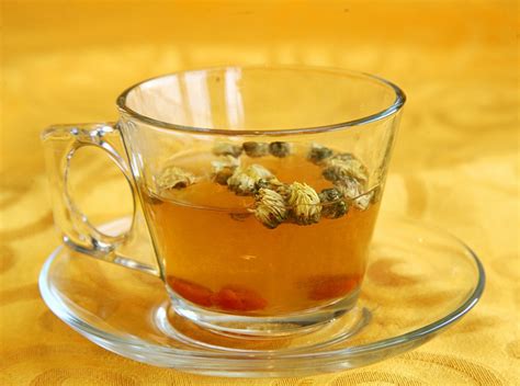 冬季喝菊花茶合适吗