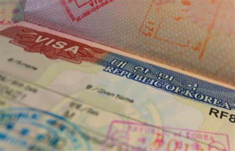 出国签证怎么查