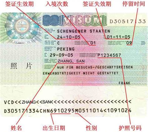 出国签证格式内容图片