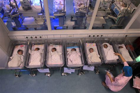 出生的新生儿是由医院看管吗