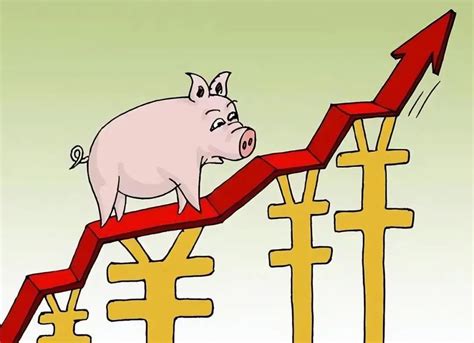 分析当前猪价上涨的原因