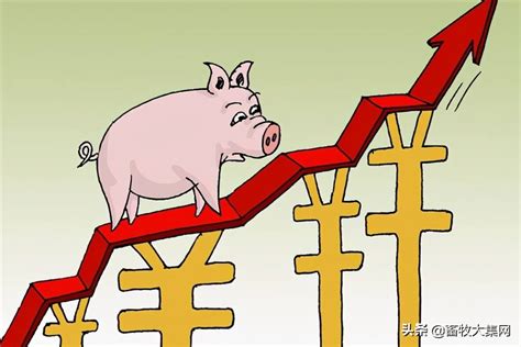 分析猪价大涨的可能性
