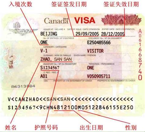 加拿大出入境要带哪些证件