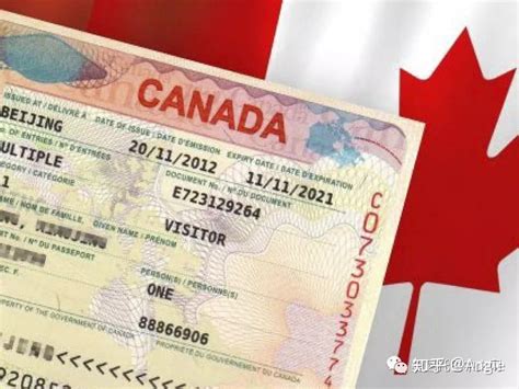 加拿大旅行证照片
