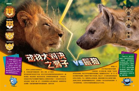 动物世界狮子大战鬣狗