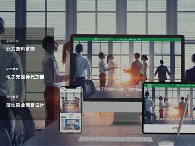 北京官网优化服务商