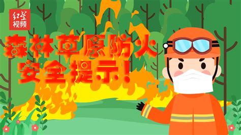 北京市森林火灾应急预案