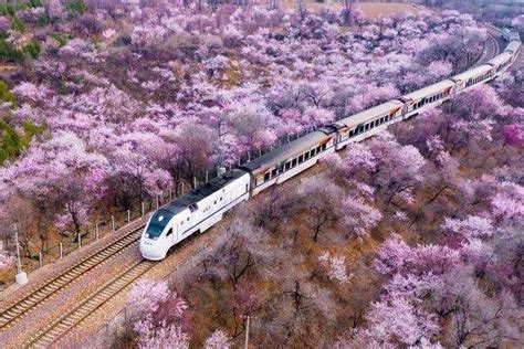 北京开往春天的列车旅游攻略