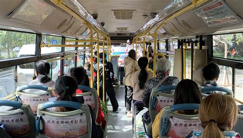 北京植物园坐公交怎么坐
