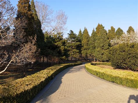 北京植物园盆景园