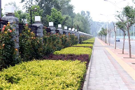 北京珍稀市政园林项目