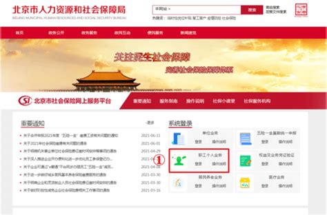 北京社保网上服务平台个人查询
