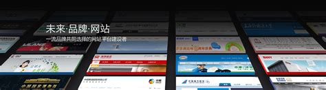 北京网站推广运营托管公司