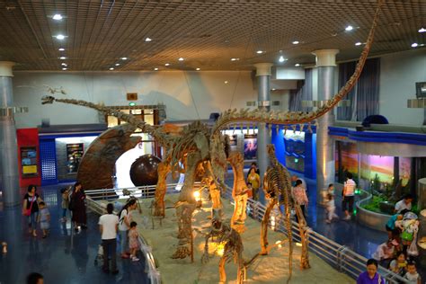 北京自然博物馆游览图