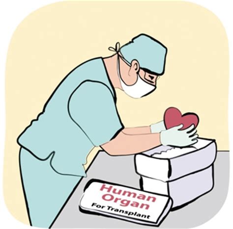 医学博士捐赠器官