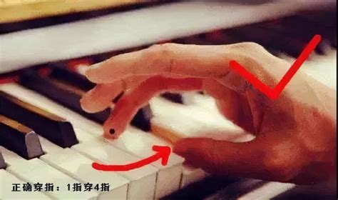 十个手指怎么对应琴键图片