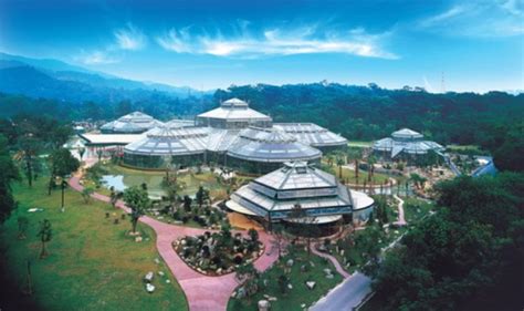 华南植物园60岁门票多少钱