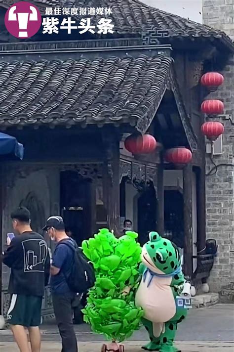 南京卖青蛙