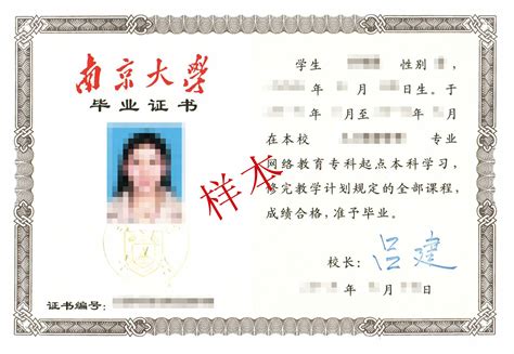 南京大学的学士学位证